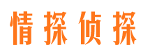 向阳市侦探调查公司